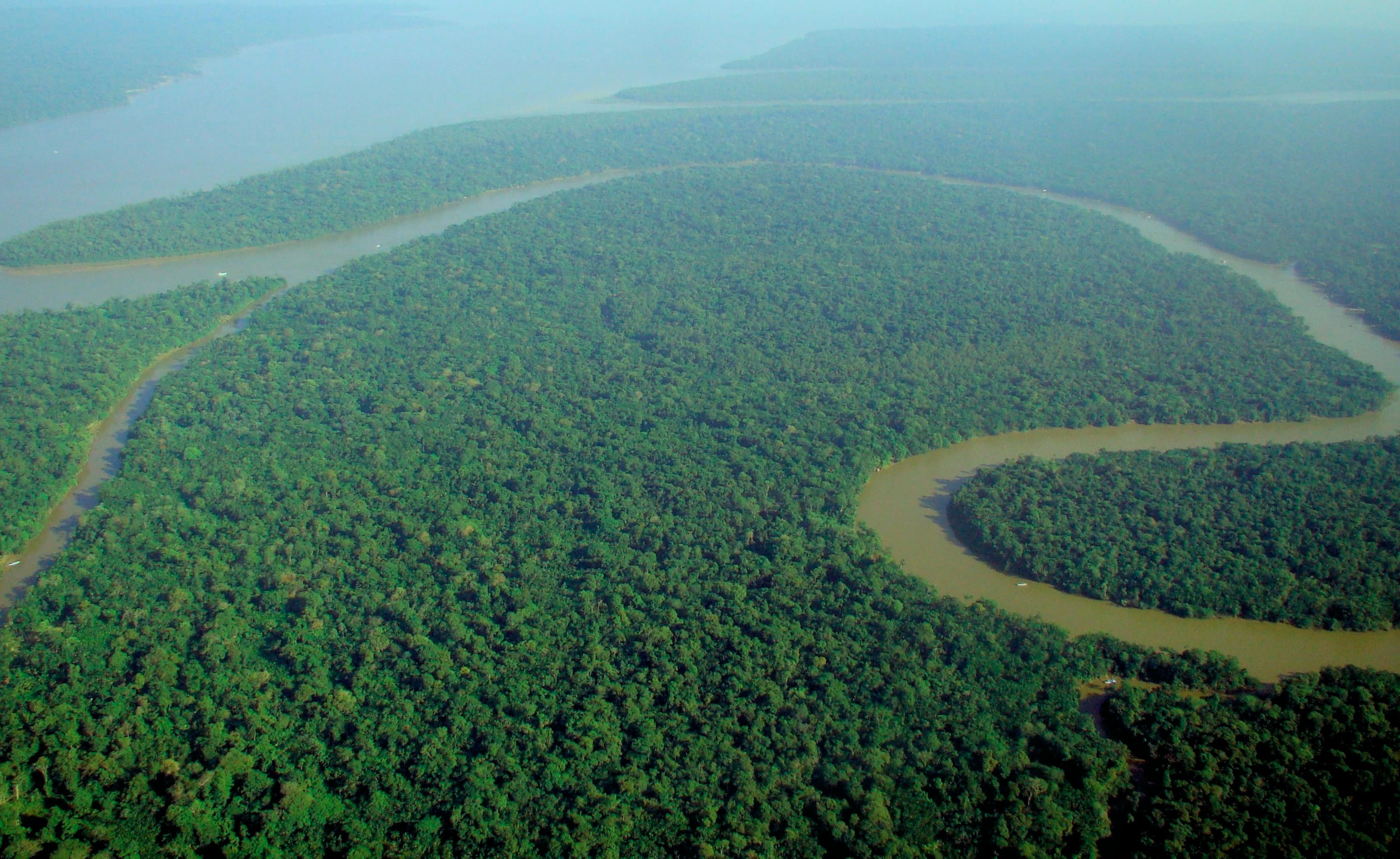UAE-Led Operation Green Shield Nets 839 Arrests in Amazon Basin